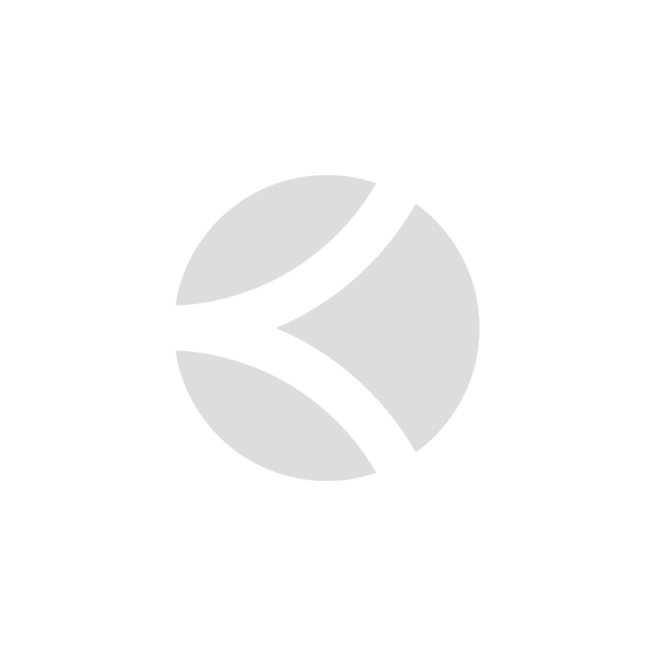 VOLANT PLUME DE BADMINTON FSC 960 X 12 VITESSE 77 VOLANT PLUME DE BADMINTON FSC 960 X 12 VITESSE 77